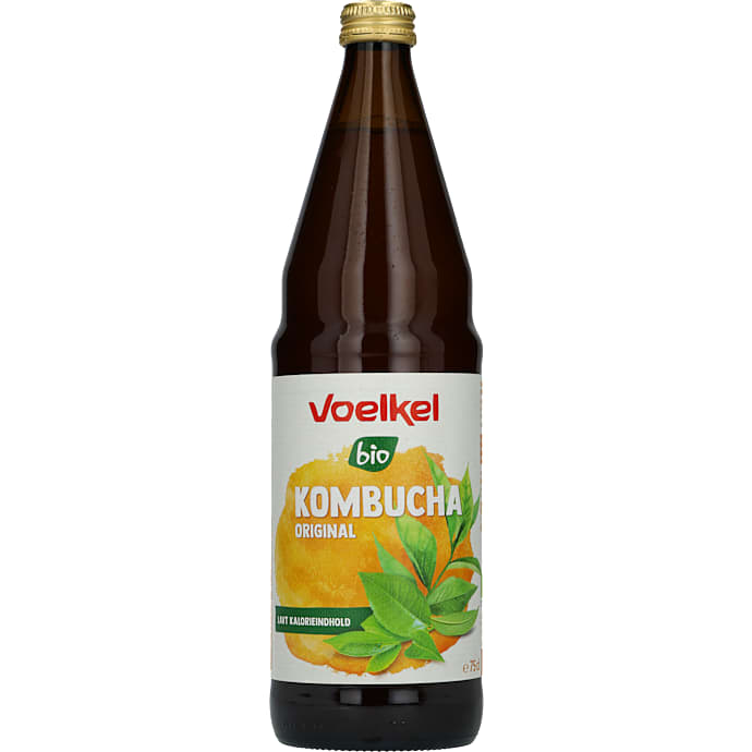 Kombucha øko