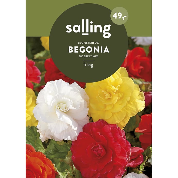 Salling Blomsterløg Begonia Dobbelt Mix