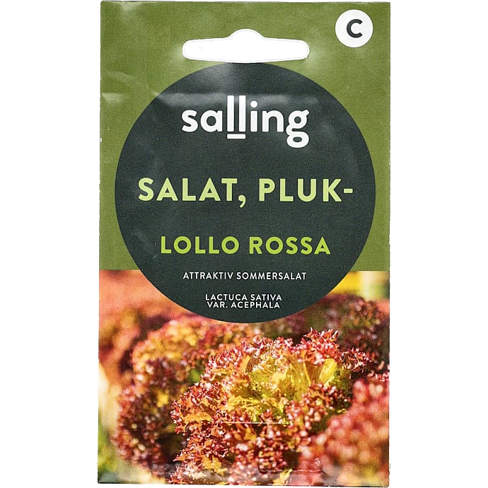 Salling Pluksalat Lollo Rossa