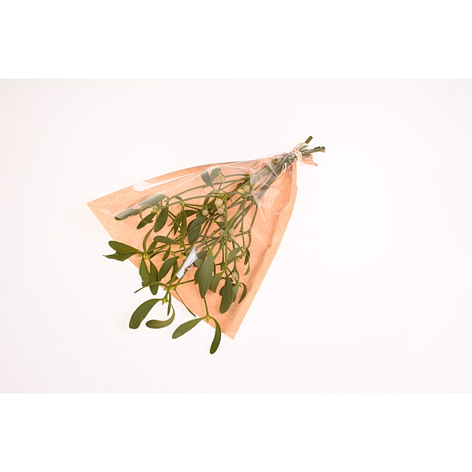 Mistelsten 60-80 gram 2-4 grene