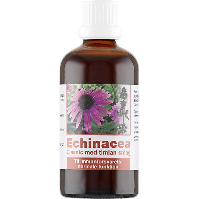 Echinacea Rød Solhat med Timiansmag