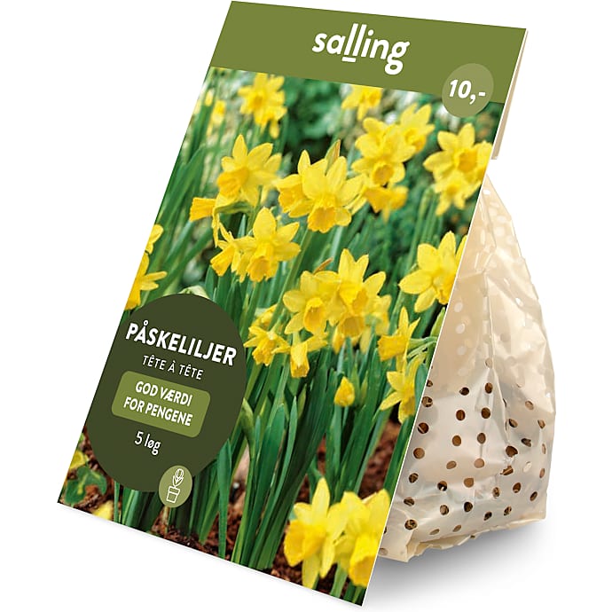 Salling blomsterløg Påskeliljer, Tete a Tete 5 løg