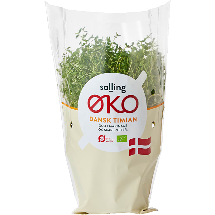 Timian øko