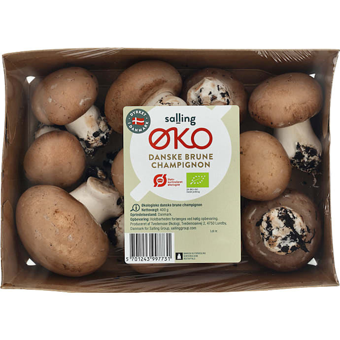 Brune champignon øko