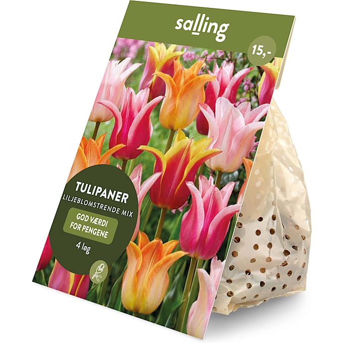 Salling blomsterløg Tulipaner liljeblomstrende mix 4 løg