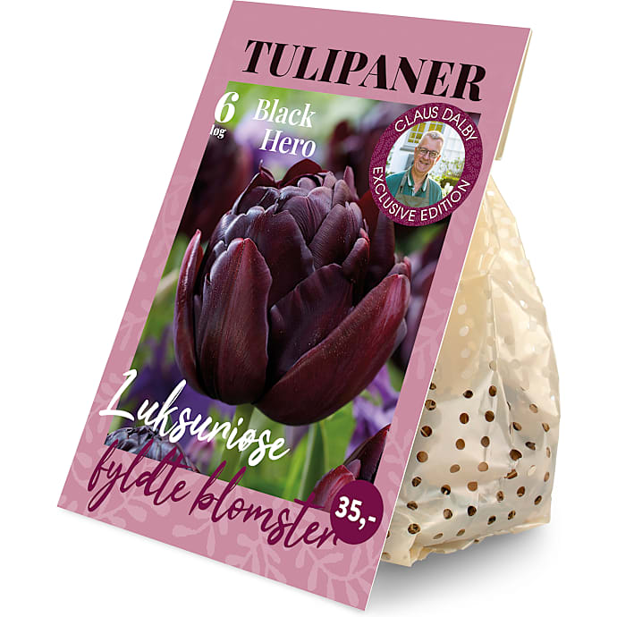 Claus Dalby Tulipaner Black Hero 6 løg