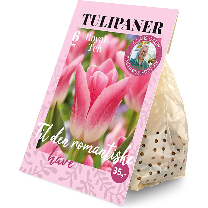 Claus Dalby Tulipaner Royal Ten 6 løg