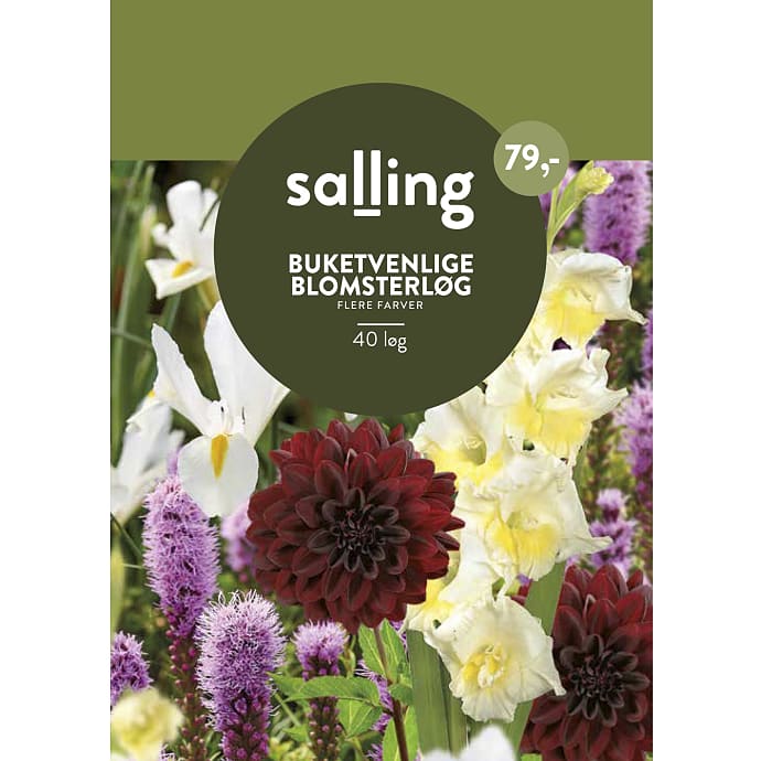 Salling Blomsterløg Buketvenlige