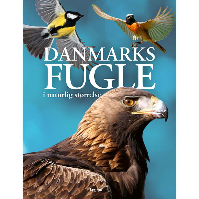 Legind Danmarks fugle af Nancy J. Hajeski