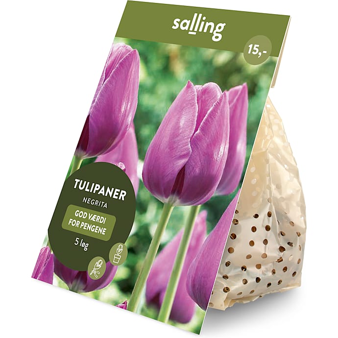 Salling blomsterløg Tulipaner Negrita 5 løg