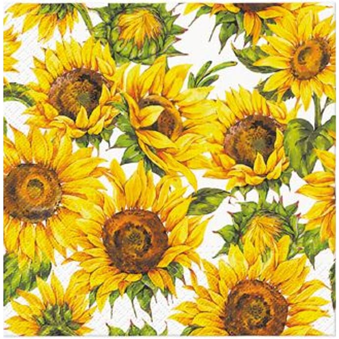 Mønstrede servietter 33x33 cm 20-pak