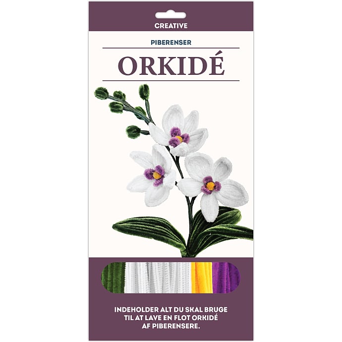 1conzept piberenserblomst - orkide