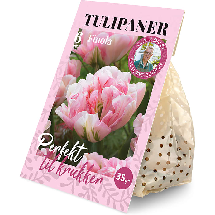 Claus Dalby Tulipaner Finola 6 løg
