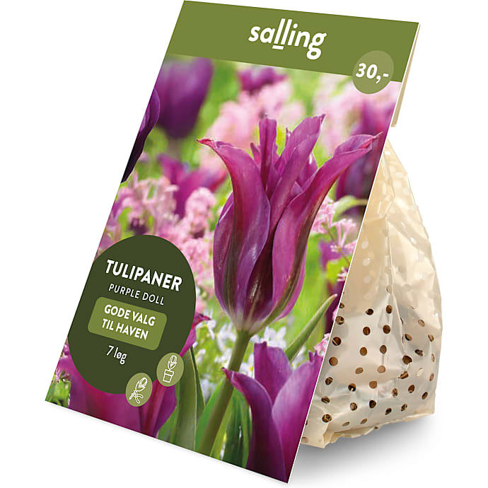 Salling blomsterløg Tulipaner Purple Doll 7 løg