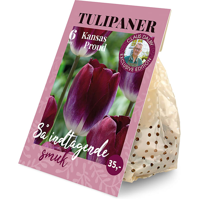 Claus Dalby Tulipaner Kansas Proud 6 løg