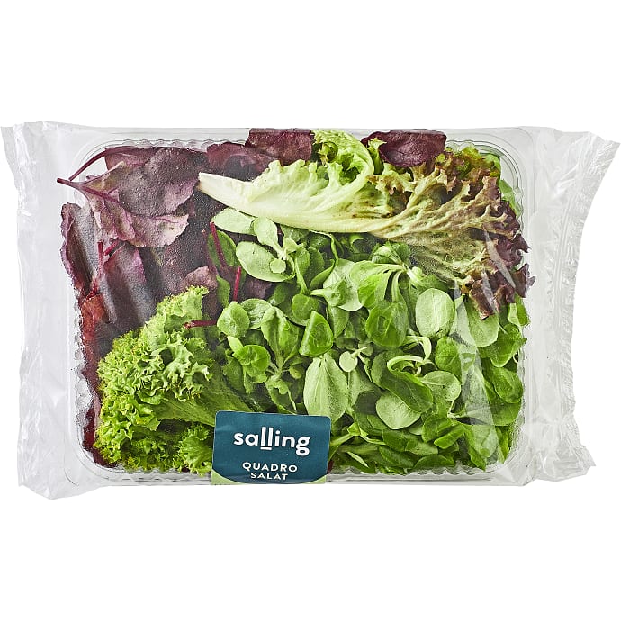 Salling Quadro salatblanding