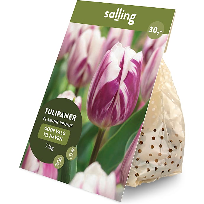 Salling blomsterløg Tulipaner Flaming Prince 7 løg