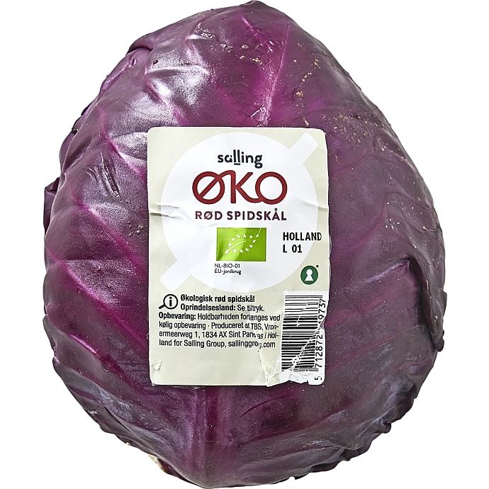 Rød spidskål øko