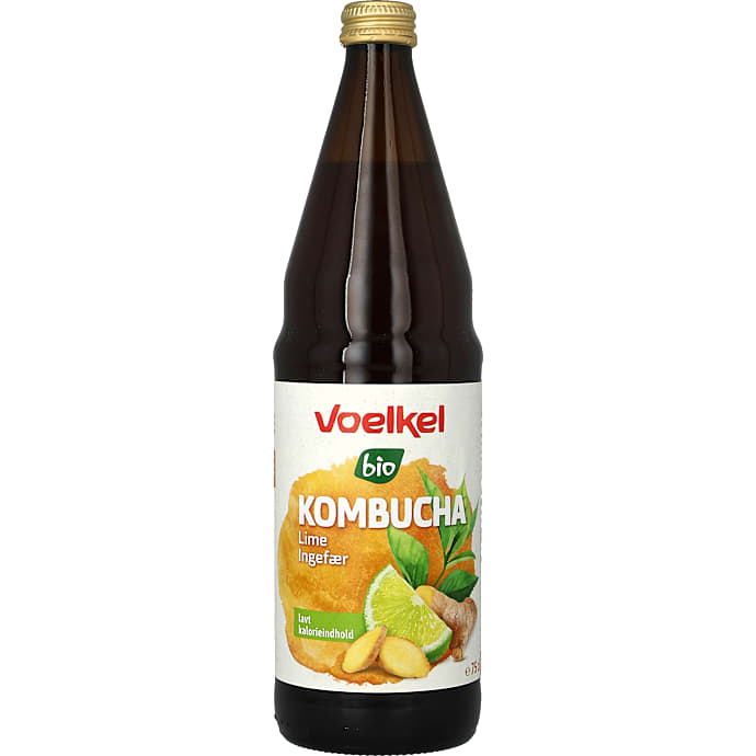 Kombucha med lime og ingefær