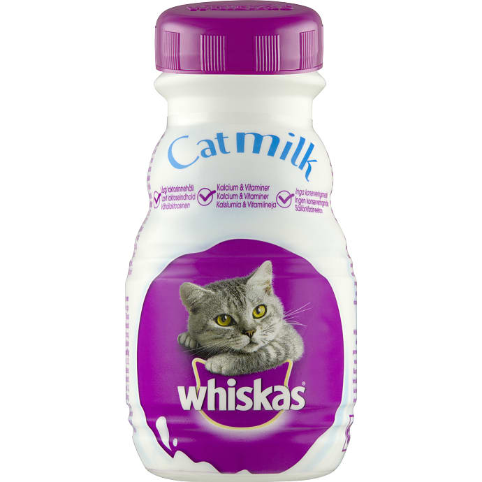 Kattemælk