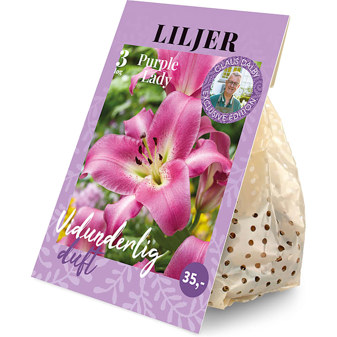 Claus Dalby Liljer Purple Lady 3 løg