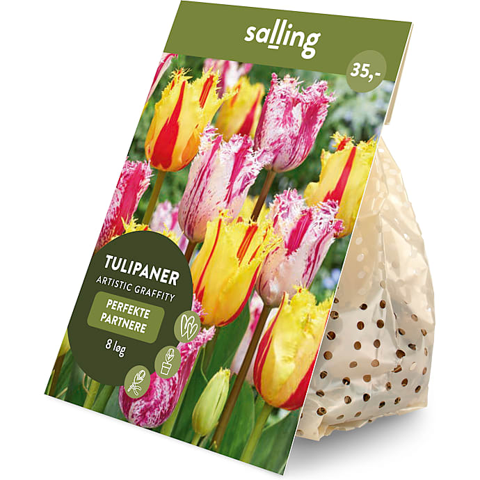 Salling blomsterløg Tulipaner Artistic Grafitti 8 løg