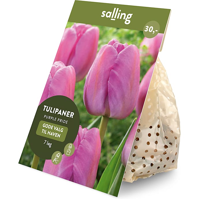 Salling blomsterløg Tulipaner Purple Pride 7 løg