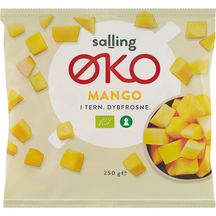 Salling ØKO Mango i Tern