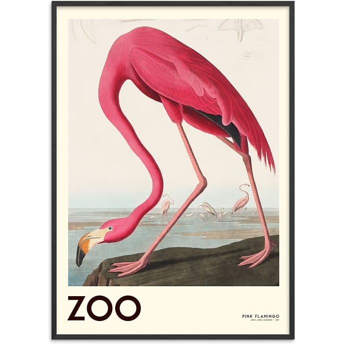 Citatplakat The Zoo Collection Flamingo 70x100