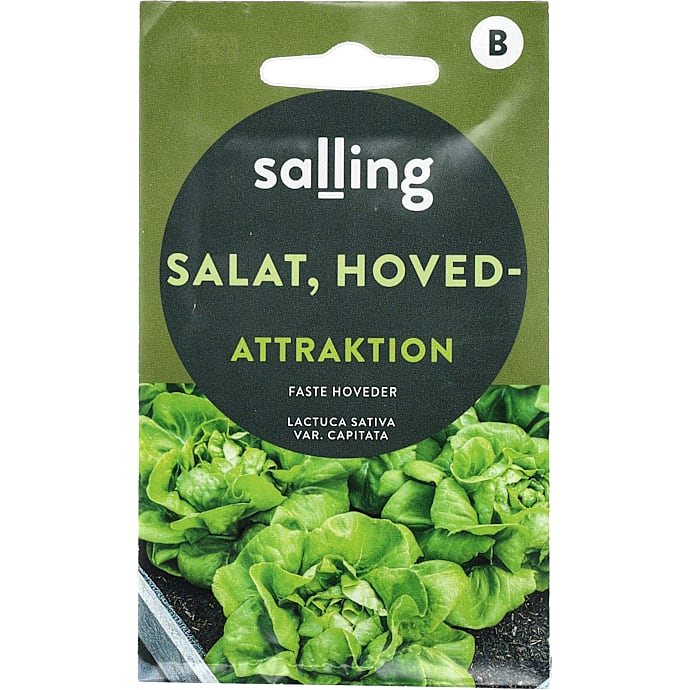Salling Hovedsalat Attraktion