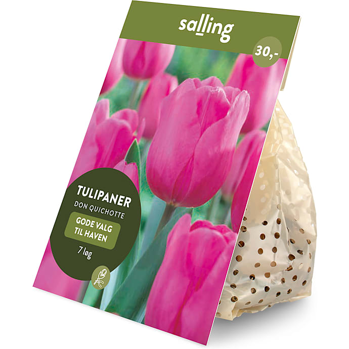 Salling blomsterløg Tulipaner Don Quichotte 7 løg