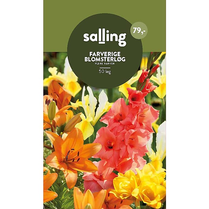 Salling Blomsterløg Mix