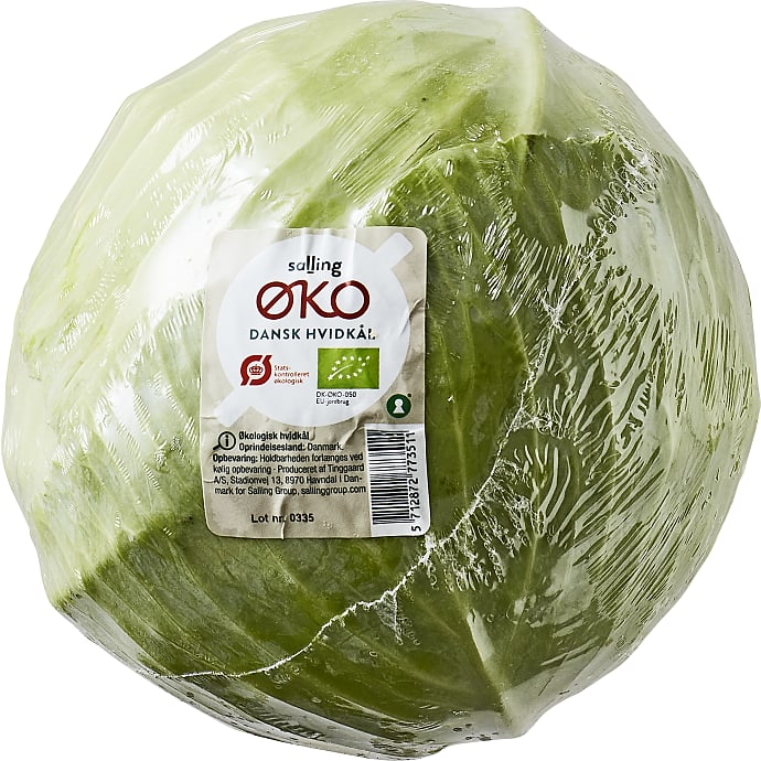 Hvidkål øko