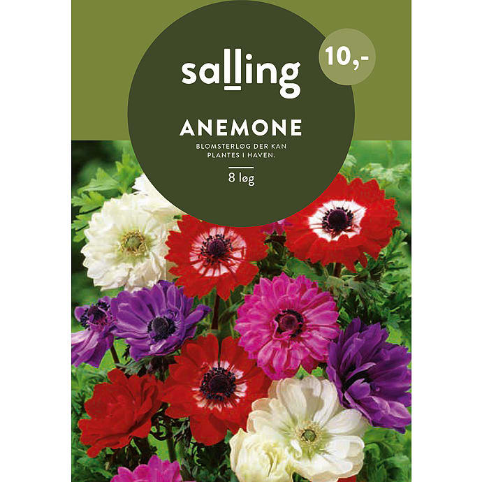Salling Blomsterløg Anemone