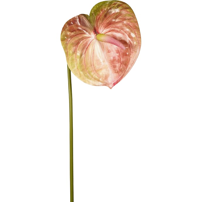 Kunstig blomst Anthurium grøn/pink