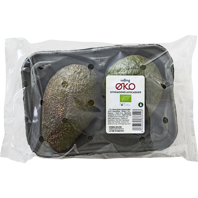 Spisemodne avocadoer øko