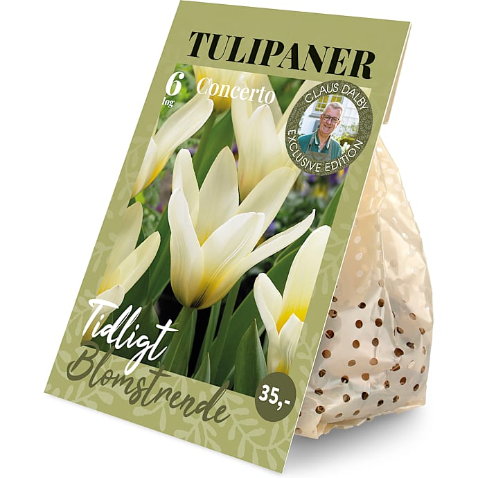 Claus Dalby Tulipaner Concerto 6 løg