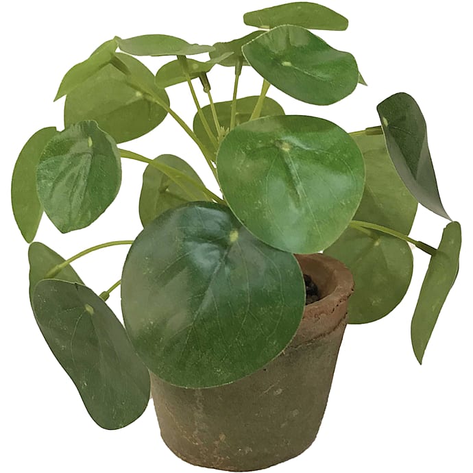 Kunstig plante - Pilea mini