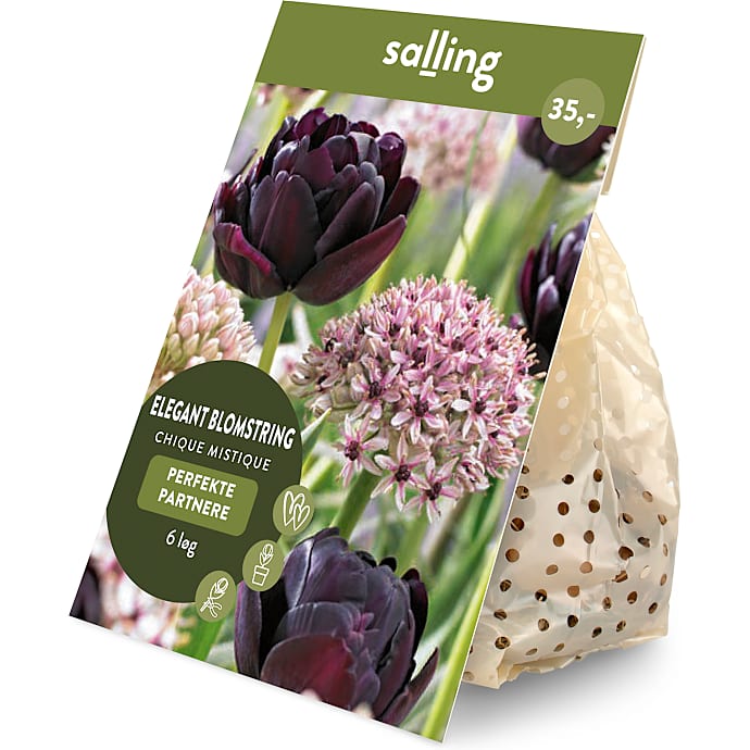 Salling blomsterløg Tulipaner/Prydløg Chique Mystic 6 løg