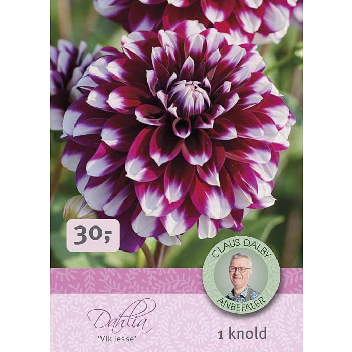 Claus Dalby Dahlia Vik Jesse