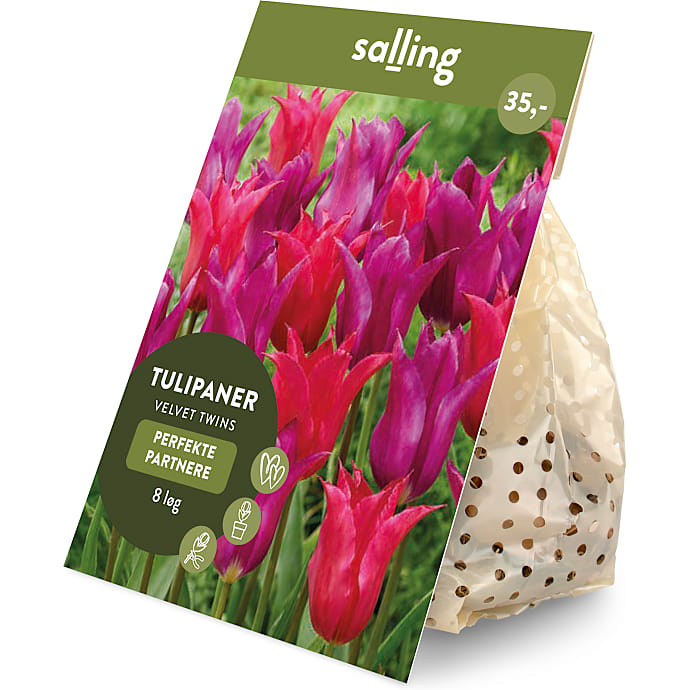Salling blomsterløg Tulipaner Velvet Twin 8 løg