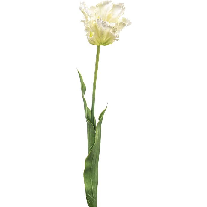 Kunstig Blomsterstilk Tulipan Hvid