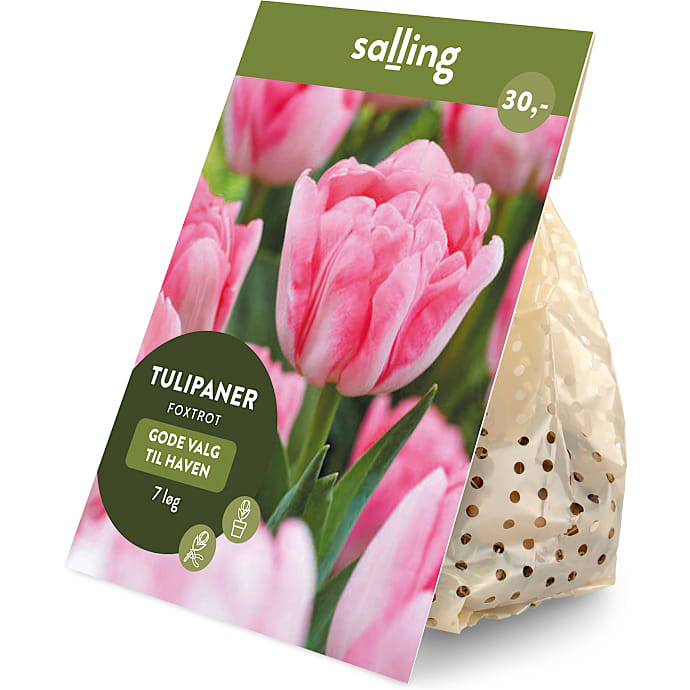Salling blomsterløg Tulipaner Foxtrot 7 løg