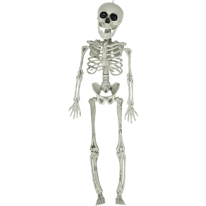 Halloween skelet 40 cm - Hvid