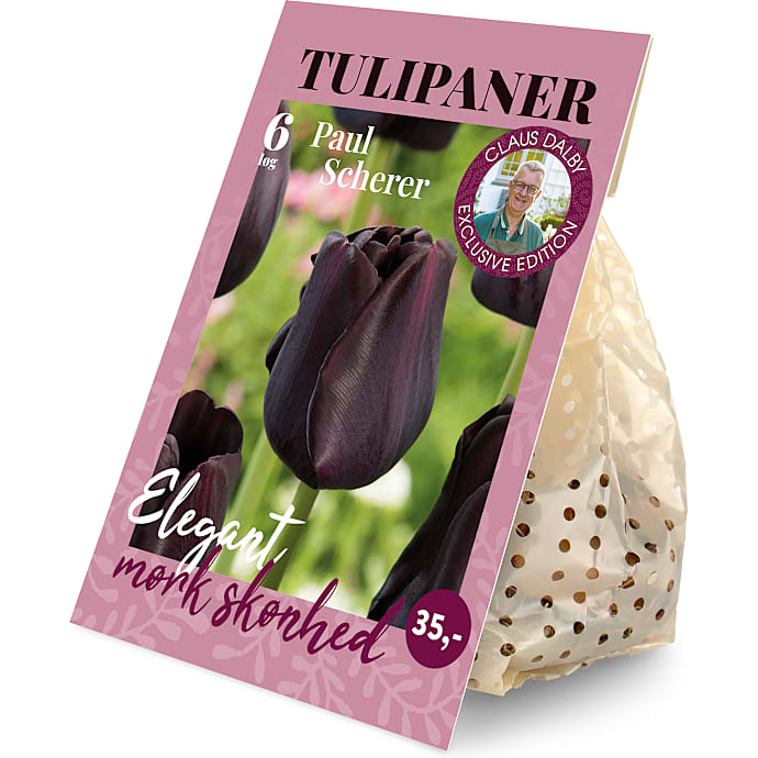 Claus DalbyTulipaner Paul Scherer 6 løg