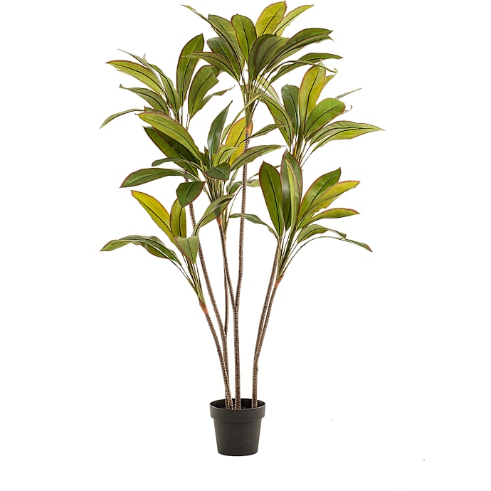 Kunstig plante - Cordyline