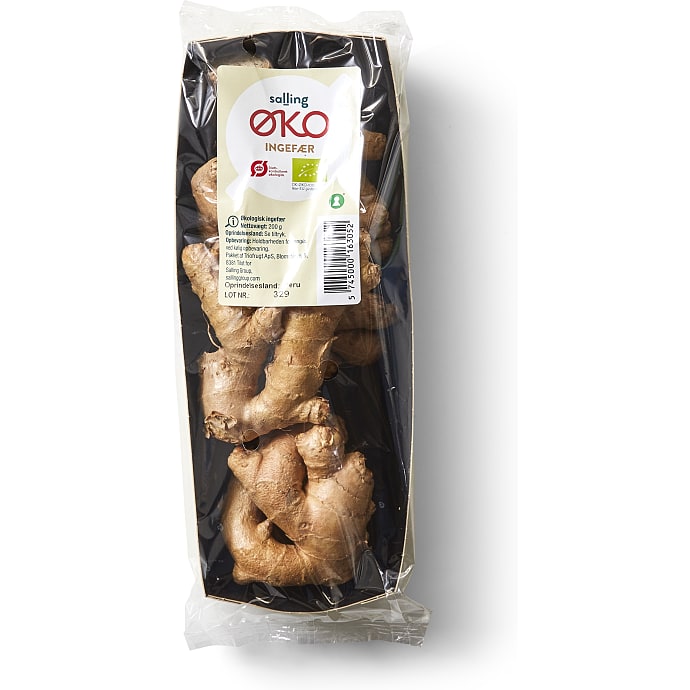 Ingefær øko