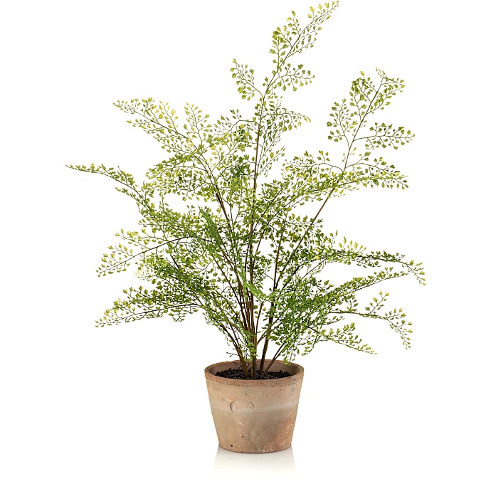 Kunstig plante - Adianthum bregne busk