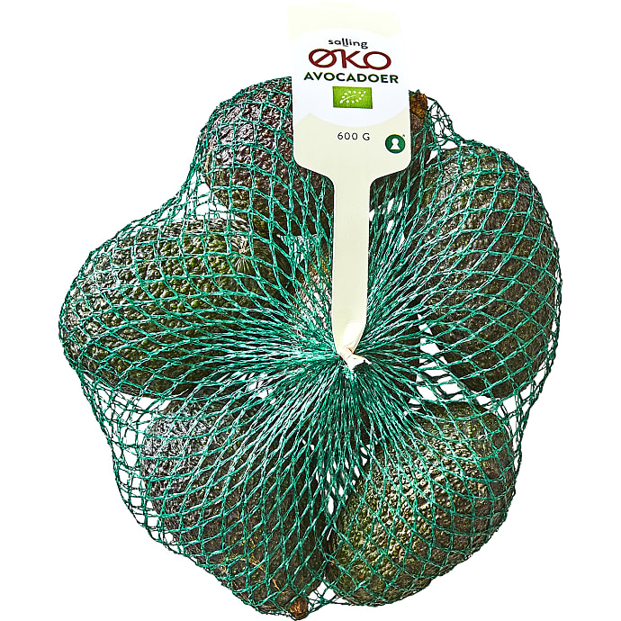 Avocadoer øko