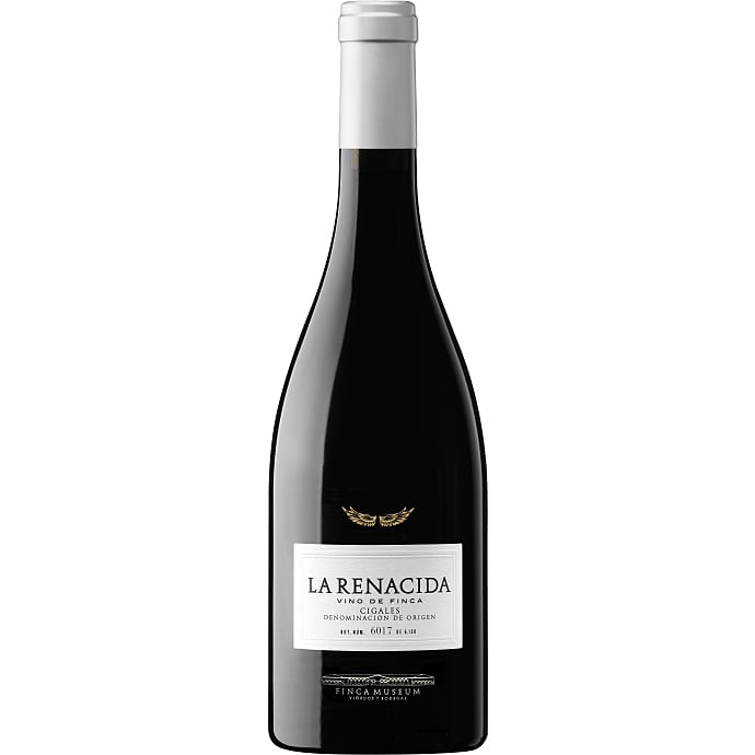 Museum La Renacida